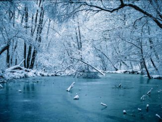 Eisflächen in Wiesbaden nicht betreten: Stadt warnt vor Lebensgefahr, besonders im Schiersteiner Hafen