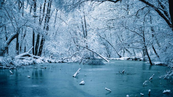 Eisflächen in Wiesbaden nicht betreten: Stadt warnt vor Lebensgefahr, besonders im Schiersteiner Hafen