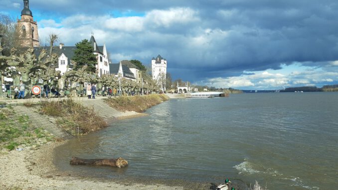 Eltville modernisiert Rheinufergeländer und vereint Denkmalschutz mit Sicherheitsanforderungen